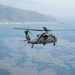 1-140th Aviation conducts air assault with 1-184th Infantry