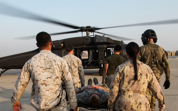 U.S. and Coalition medical personnel train through Mass Casualty Exercise
