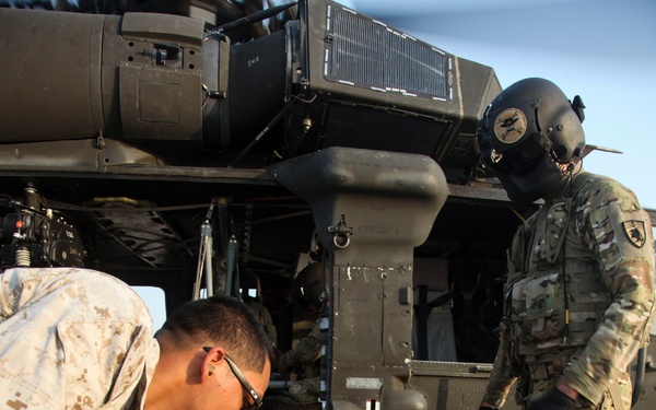 U.S. and Coalition medical personnel train through Mass Casualty Exercise