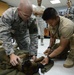 Military Working Dog teeth cleaning