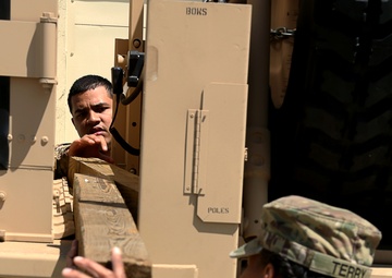 Operation Shadowstrike 2015