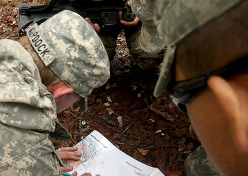Operation Shadowstrike 2015