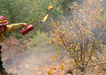 Soldiers fight fire with fire