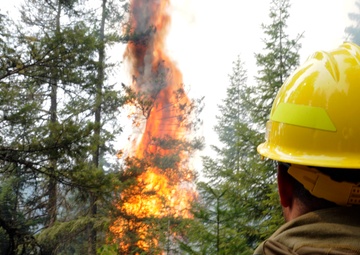 Soldiers fight fire with fire