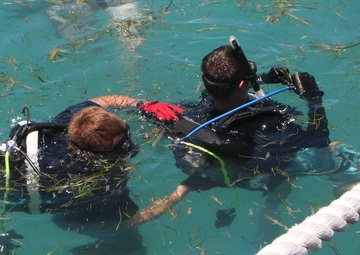 Army divers partner with Coast Guard in support of Saipan recovery
