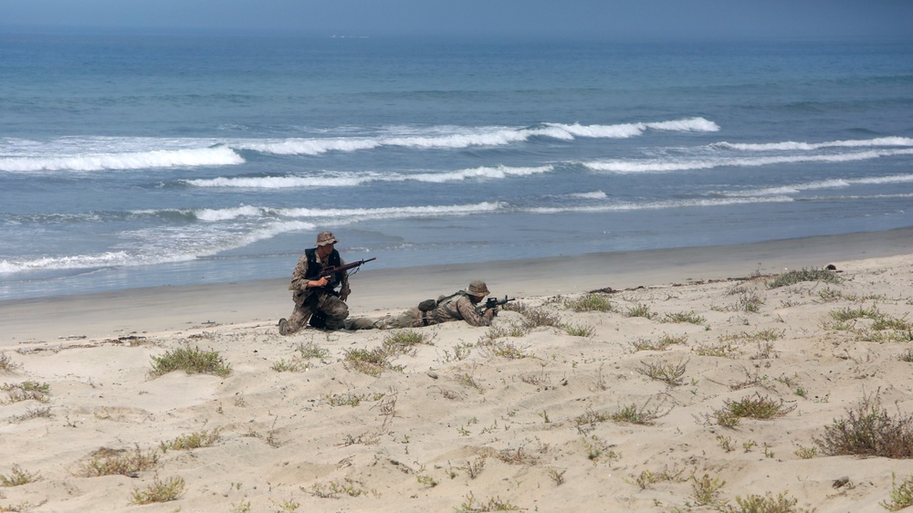 1st Marine Division demonstrates its amphibious capabilities for the Secretary of Defense