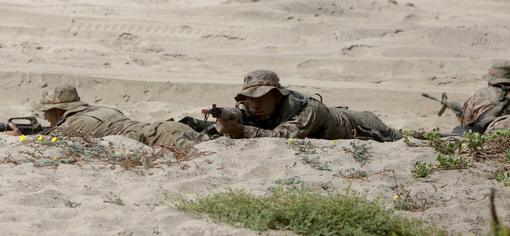 1st Marine Division demonstrates its amphibious capabilities for the Secretary of Defense