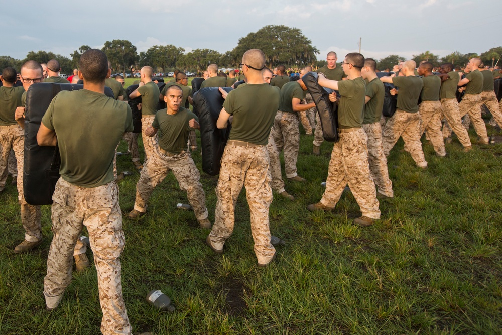 Marine recruits develop martial arts skills on Parris Island