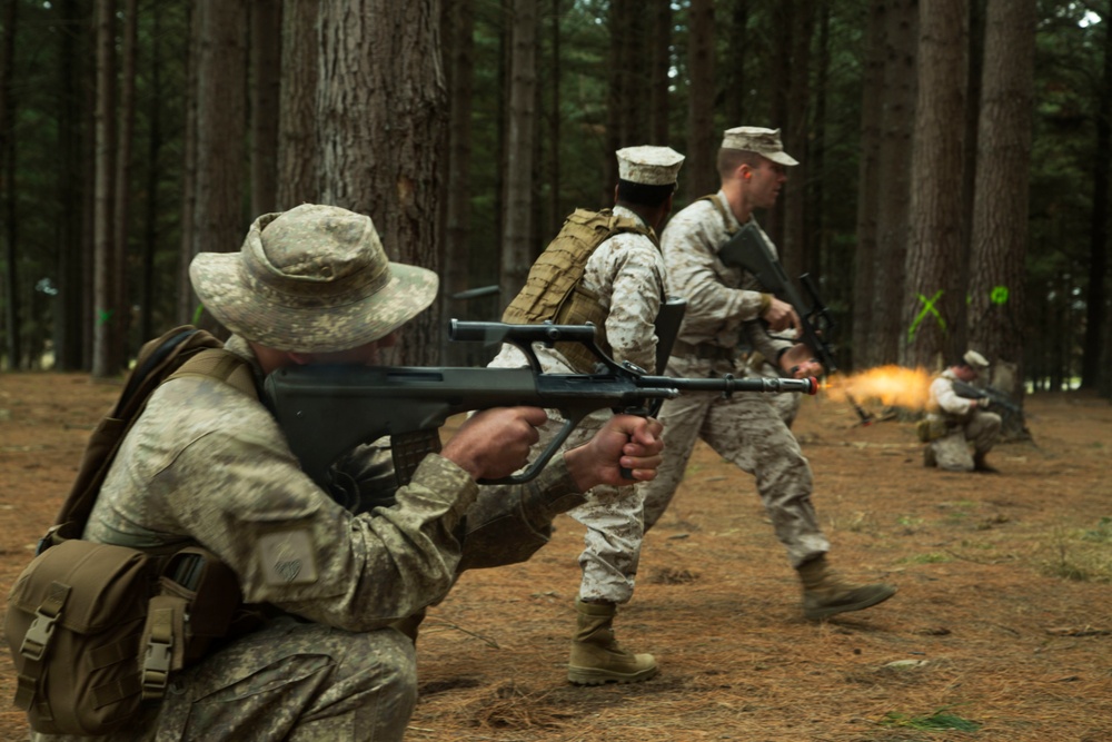JASCO Black: U.S. Marines and Kiwi Soldiers Exchange Patrolling Techniques