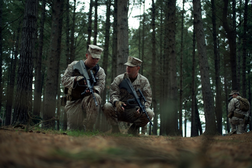 JASCO Black: U.S. Marines and Kiwi Soldiers Exchange Patrolling Techniques