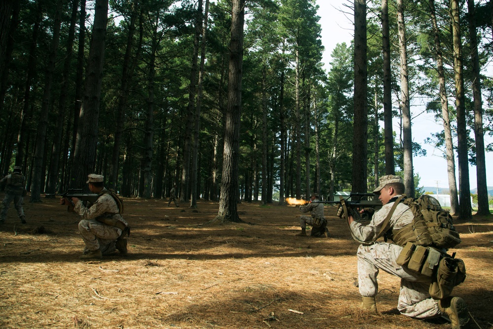 JASCO Black: U.S. Marines and Kiwi Soldiers Exchange Patrolling Techniques