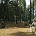 JASCO Black: U.S. Marines and Kiwi Soldiers Exchange Patrolling Techniques