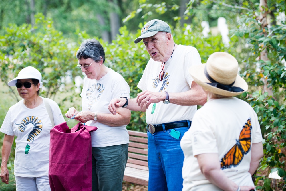 Monarch butterflies released in Arlington National Cemetery