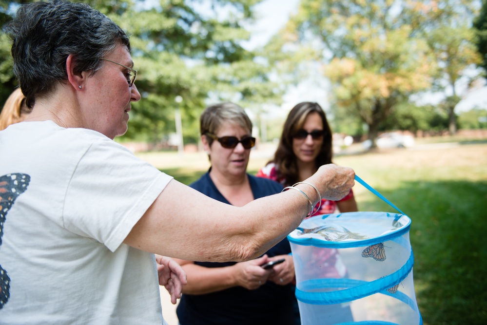 Monarch butterflies released in Arlington National Cemetery
