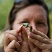 Monarch butterflies released in Arlington National Cemetery