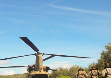 Sapper training tests combat engineers across services