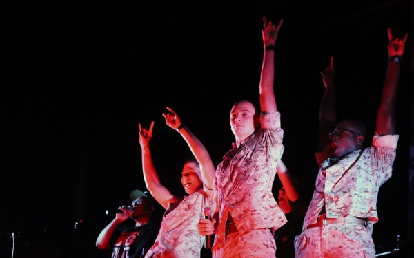 Marines gather for entertainment icons at air station appreciation event
