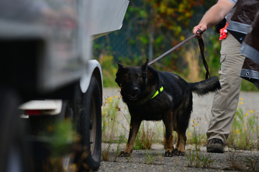 Eustis canine handlers certify international contractors