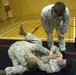 Marines Face Off During Martial Arts Training