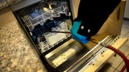 Keeping pests at bay: Entomology leads the way