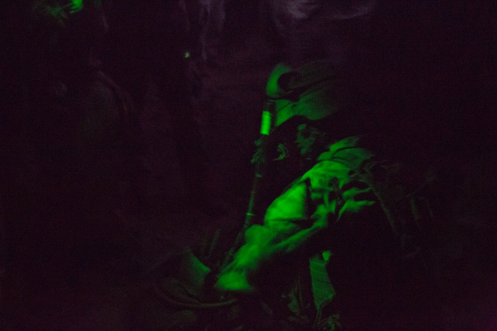 DVIDS - Images - BLT 2-1 Conducts Night TRAP [Image 13 Of 35]