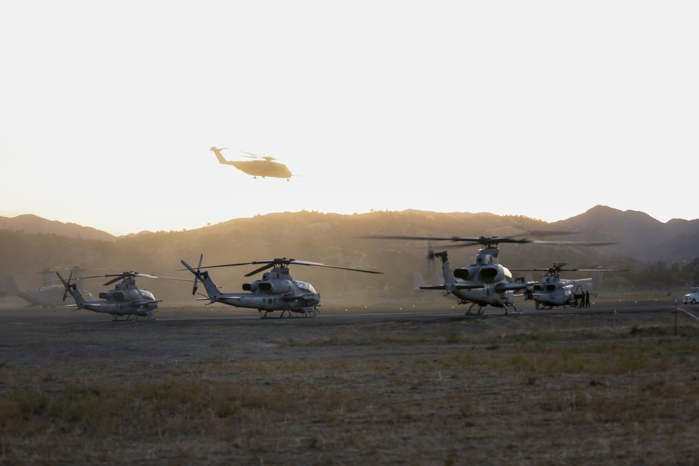 Sea Elks take flight