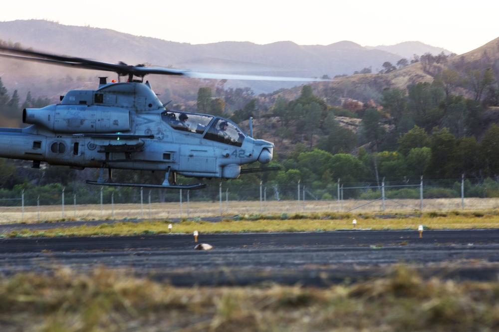 Sea Elks take flight