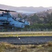 Sea Elks take flight