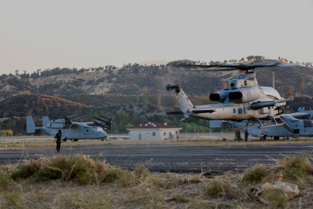 Sea Elks take flight