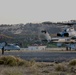 Sea Elks take flight