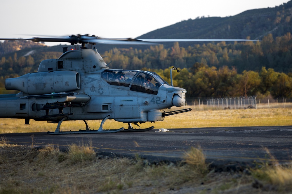 Sea Elks take flight
