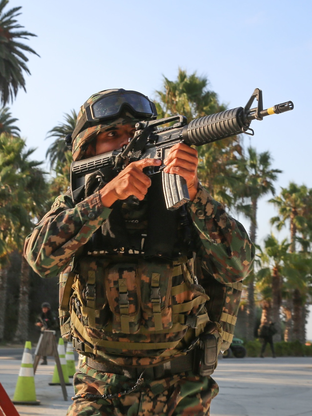 Mexican Marines blitz the beach