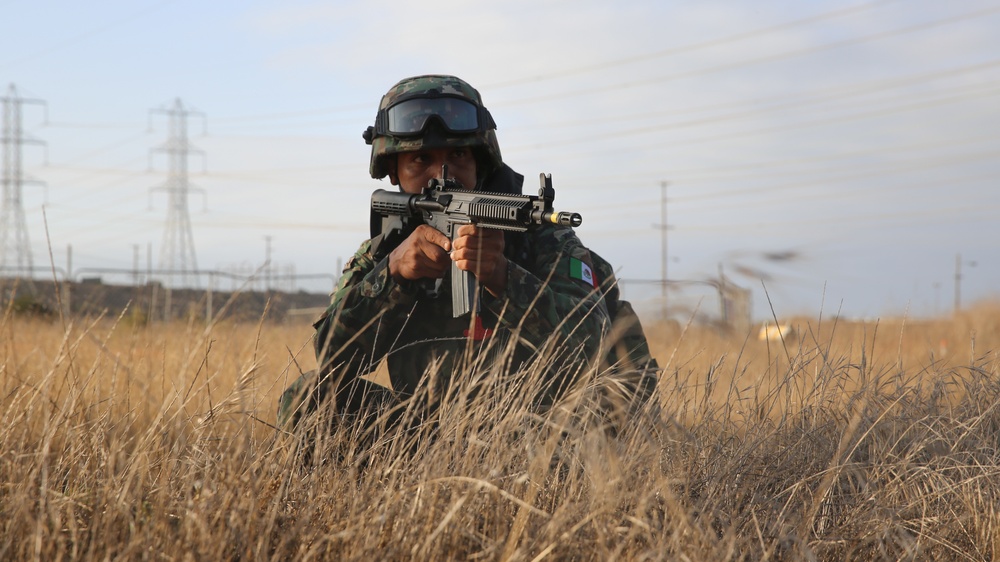 Mexican Marines blitz the beach