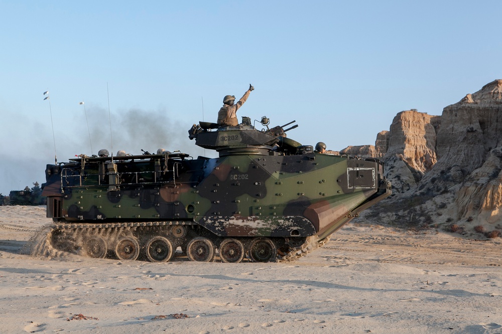 Dawn Blitz 2015 amphibious landing