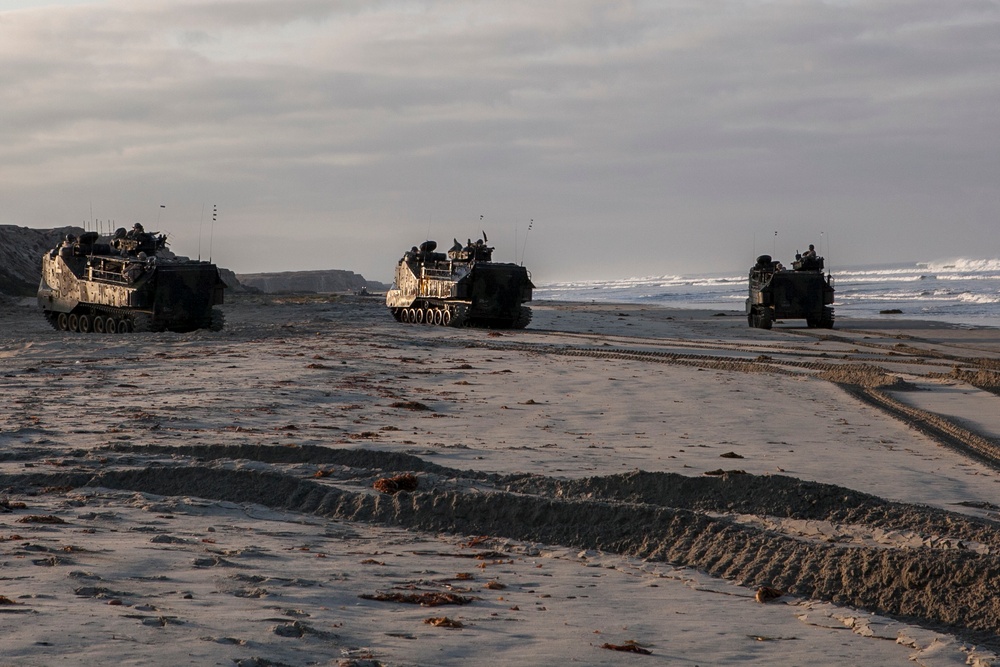 Dawn Blitz 2015 amphibious landing