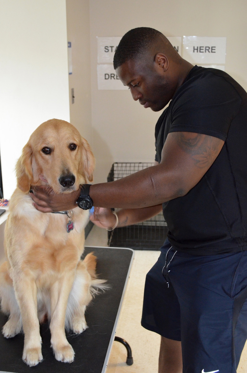 Warriors receive therapy through service dog training program