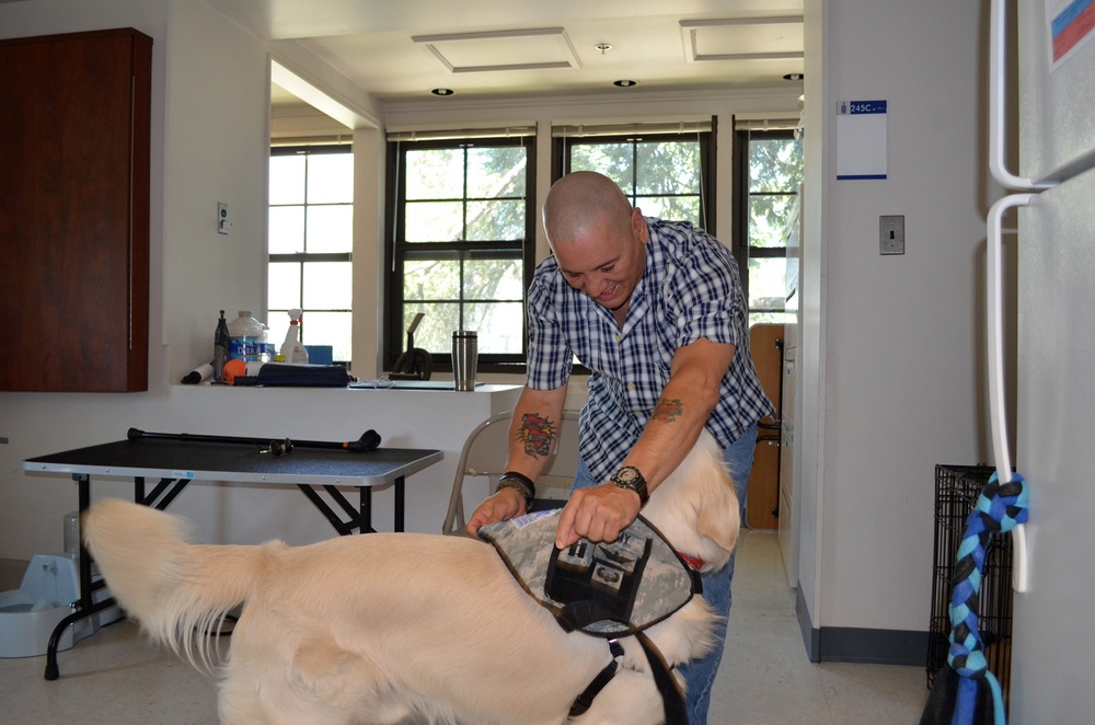 Warriors receive therapy through service dog training program