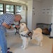 Warriors receive therapy through service dog training program
