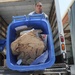 Recycling