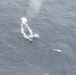 Fin whale surfaces in Point Mugu Sea Range
