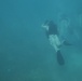 Recon Marines dive below Aruban waters