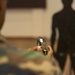 'Taser, Taser, Taser' US Marines train Malaysian Armed Forces on Taser Techniques