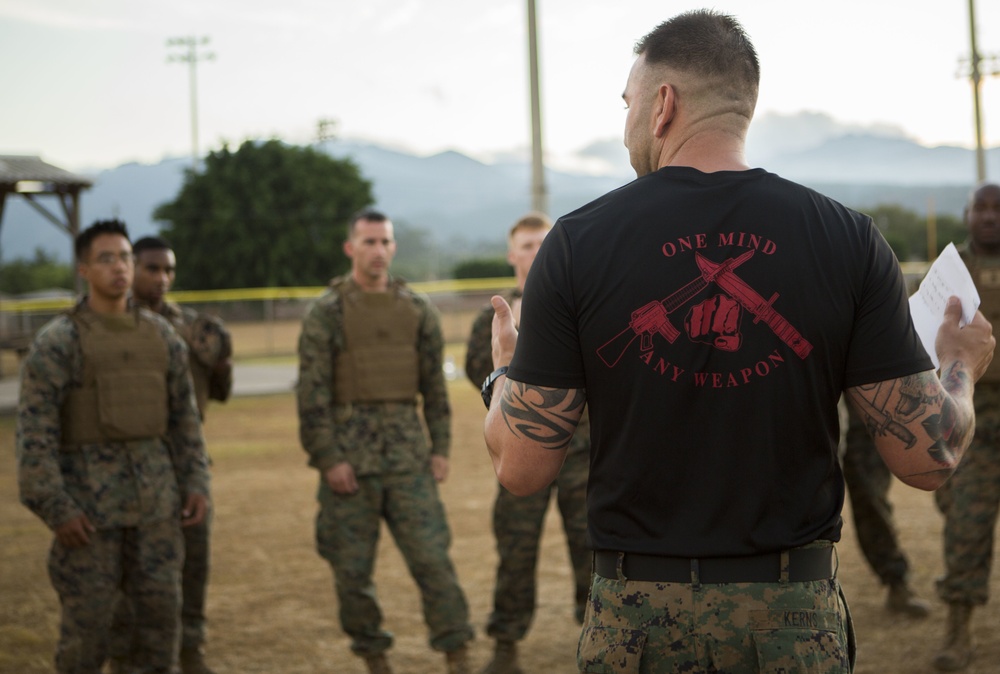 US Marines with SPMAGTF-SC take part in a MCMAP brown belt course