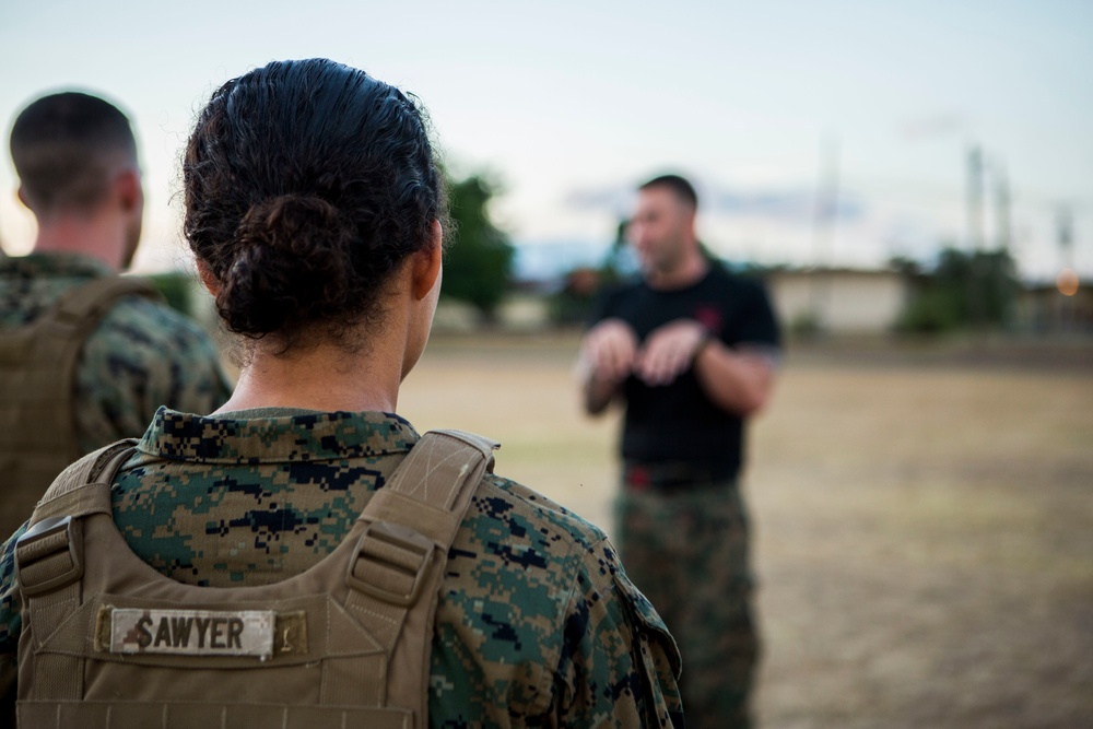 US Marines with SPMAGTF-SC take part in a MCMAP brown belt course