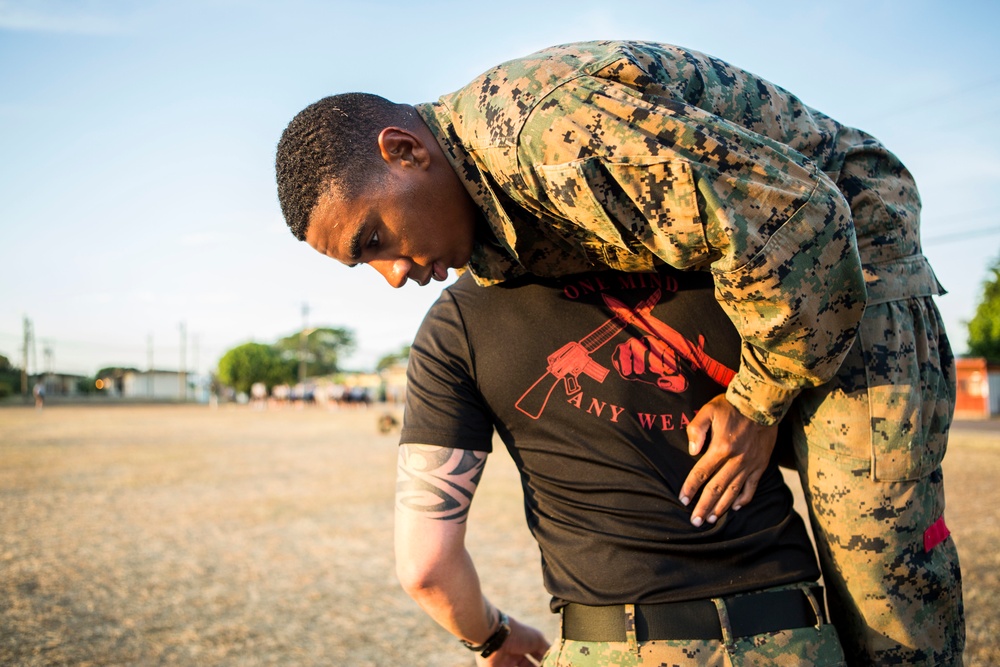 US Marines with SPMAGTF-SC take part in a MCMAP brown belt course