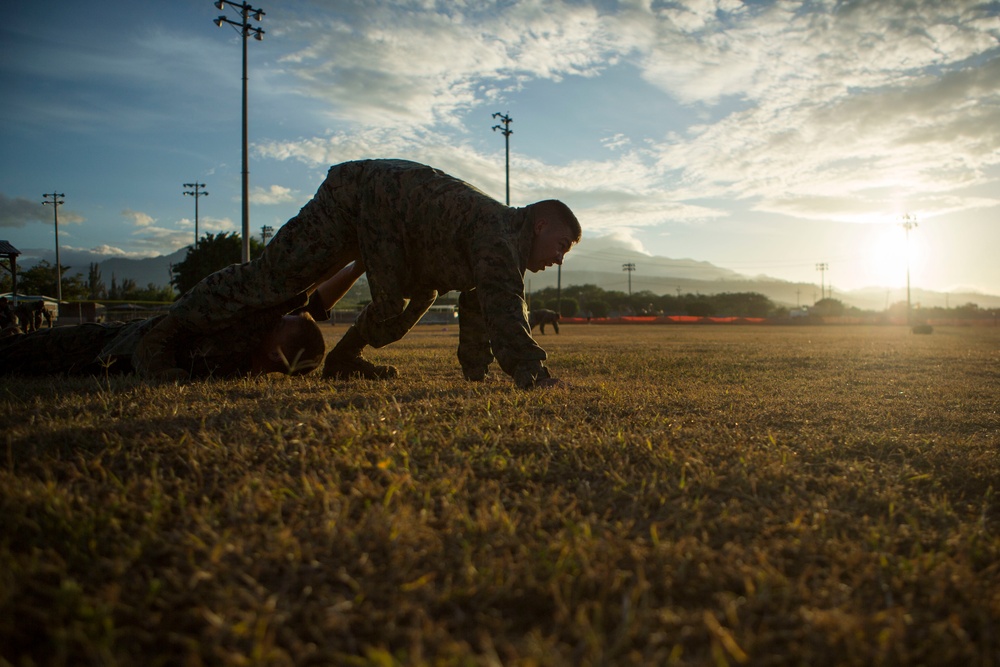 US Marines with SPMAGTF-SC take part in a MCMAP brown belt course