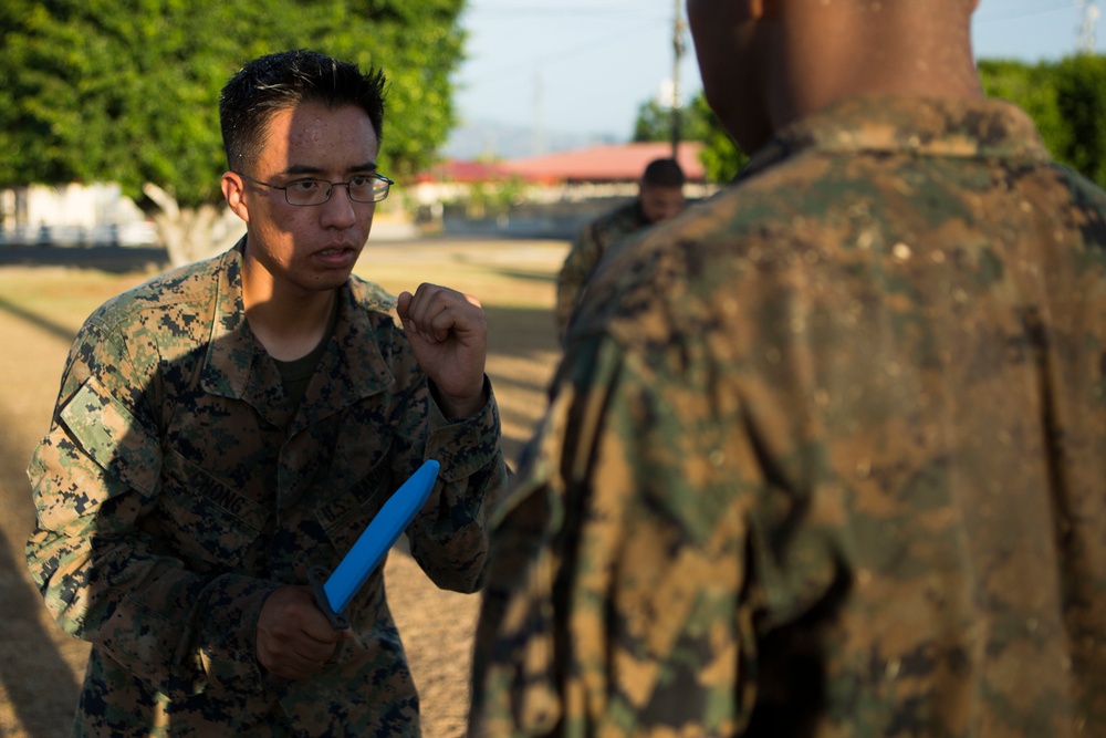 US Marines with SPMAGTF-SC take part in a MCMAP brown belt course