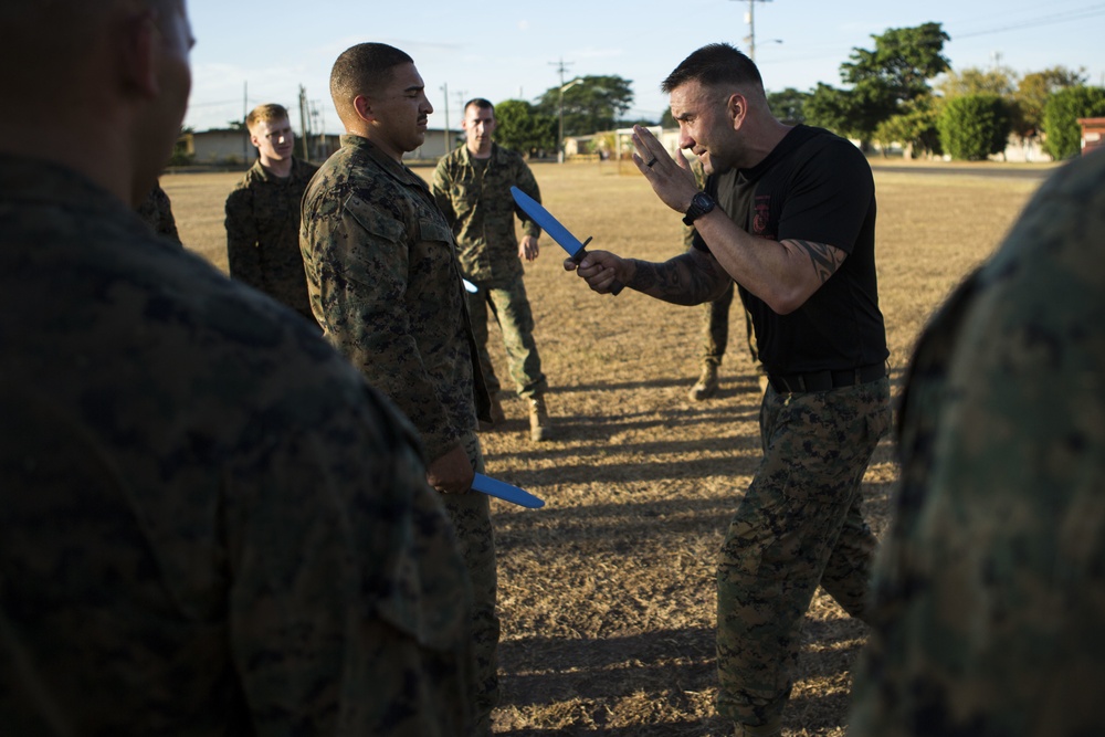 US Marines with SPMAGTF-SC take part in a MCMAP brown belt course