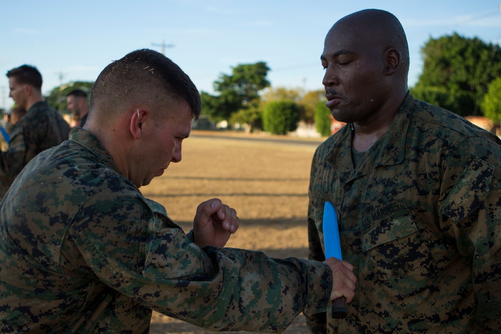 US Marines with SPMAGTF-SC take part in a MCMAP brown belt course