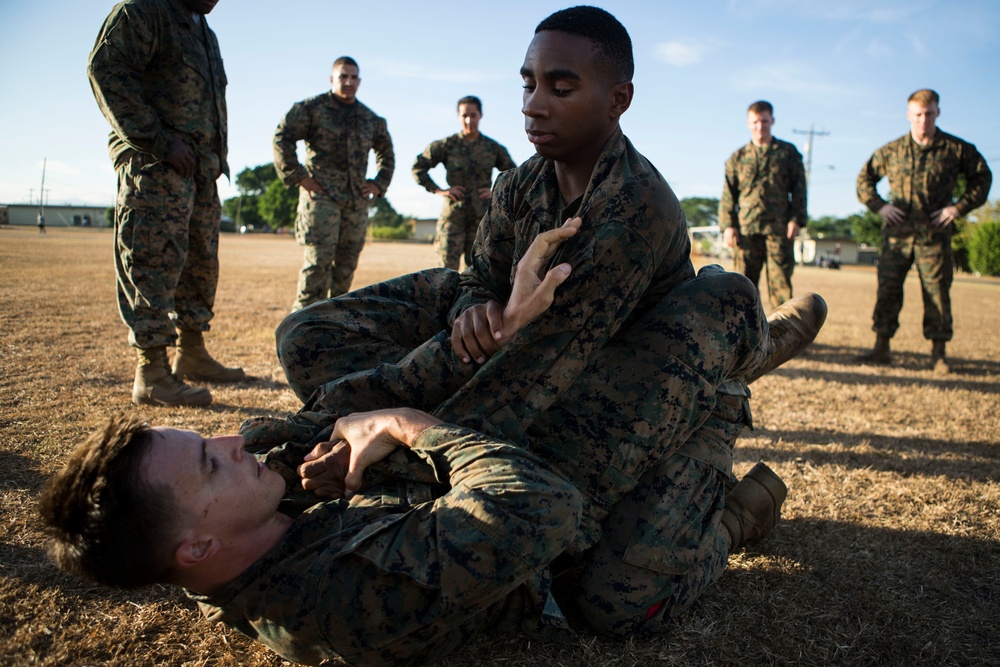 US Marines with SPMAGTF-SC take part in a MCMAP brown belt course